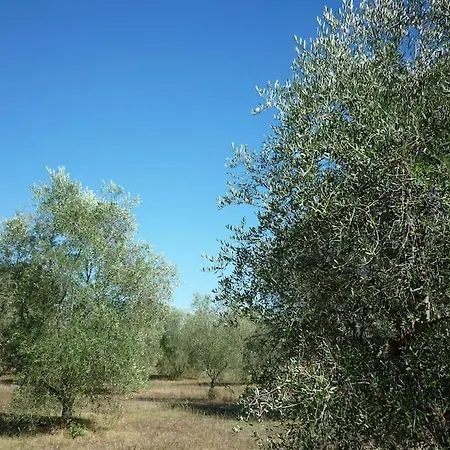 Il Poderetto - Charming House Countryside Holiday home Pitigliano