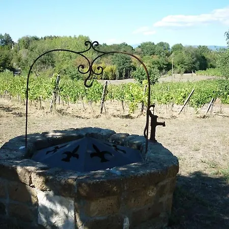 Il Poderetto - Charming House Countryside * Pitigliano